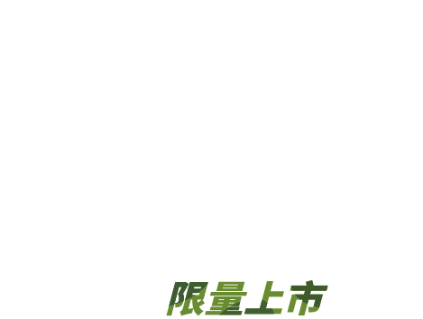 X-TRAIL KICKS 野FUN版 限量上市