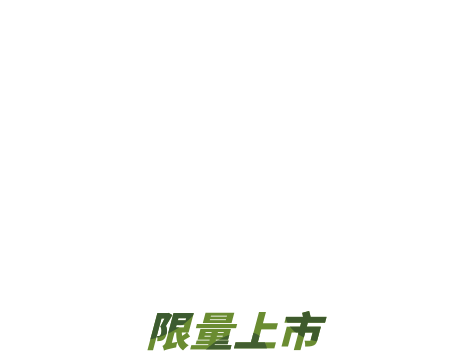 X-TRAIL KICKS 野FUN版 限量上市