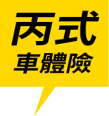 丙式車體險