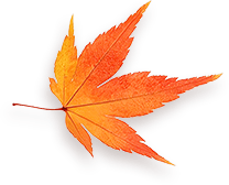 Maple 4