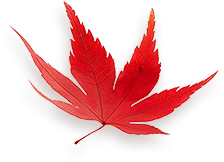 Maple 3