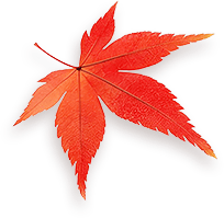 Maple 3