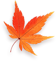 Maple 10