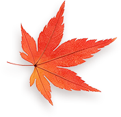 Maple 2