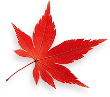 Maple 4