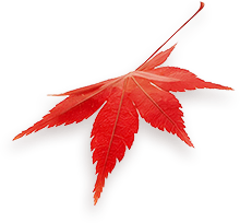 Maple 9